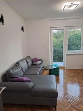 Apartman s garažom Alej